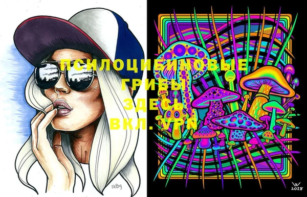 МДПВ Касимов