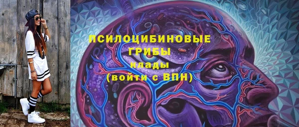МДПВ Касимов