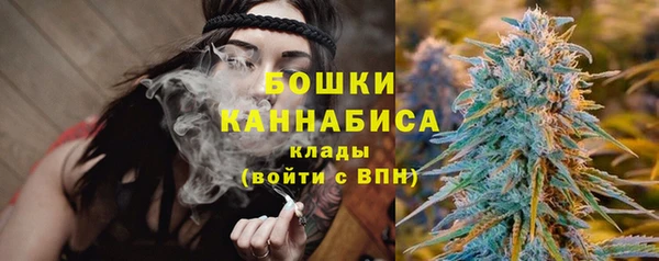 мет Карпинск