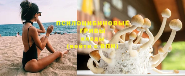 МДПВ Касимов