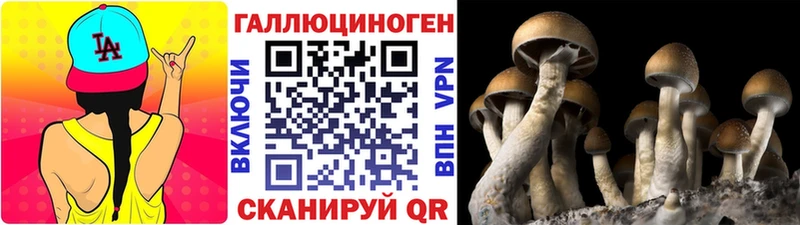 где можно купить наркотик  OMG ссылки  Псилоцибиновые грибы мицелий  Макаров 